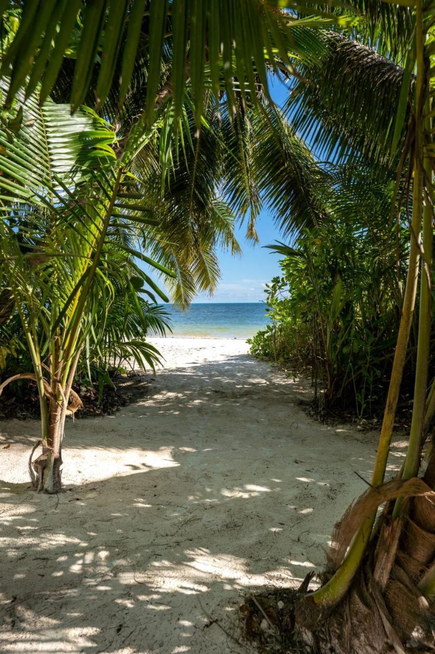 Bliss Hotel Praslin Grand Anse  Exterior foto